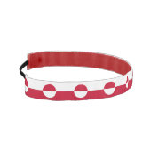 グリーンラスリップまたは滑ることンドの旗を持つ非ヘッドバンド アスレチックヘッドバンド (左)