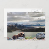 グリーンランドからの挨拶13 ポストカード (正面/裏面)