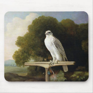 グリーンランドの《鳥》ハヤブサ(灰色の《鳥》ハヤブサ)、1780年(パネルの マウスパッド