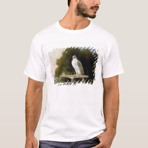 グリーンランドの《鳥》ハヤブサ(灰色の《鳥》ハヤブサ)、1780年(パネルの Tシャツ
