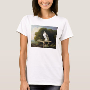 グリーンランドの《鳥》ハヤブサ(灰色の《鳥》ハヤブサ)、1780年(パネルの Tシャツ