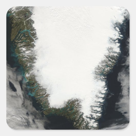 グリーンランド南部 スクエアシール (正面)