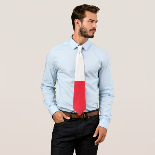 グリーンランド国旗 ネクタイ (インサイチュ)