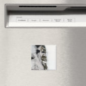 グリーンランド西海岸沿いのまろやかな池 マグネット (インサイチュ (食洗機))