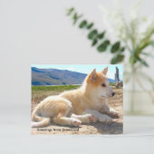 グリーンランド12からの挨拶 ポストカード (スタンド正面)