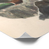 グリーンランド《鳥》ハヤブサダークレースバード ポスター (角)