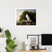 グリーンランド《鳥》ハヤブサ(グレー《鳥》ハヤブサ)、1780(油パネル) ポスター (ホームオフィス)