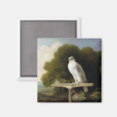 グリーンランド《鳥》ハヤブサ(グレー《鳥》ハヤブサ)、1780(油パネル) マグネット (正面/裏面)