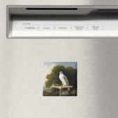 グリーンランド《鳥》ハヤブサ(グレー《鳥》ハヤブサ)、1780(油パネル) マグネット (インサイチュ (食洗機))