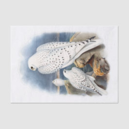 グリーンランド《鳥》ハヤブサ、デコページ 薄葉紙