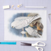 グリーンランド《鳥》ハヤブサ、デコページ 薄葉紙 (クラフト)