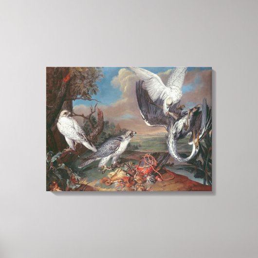 グリーンランドCyr《鳥》ハヤブサ キャンバスプリント (正面)