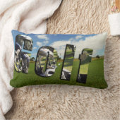 グリーンランバークッションにゴルフロゴとボール。 ランバークッション (ブランケット)