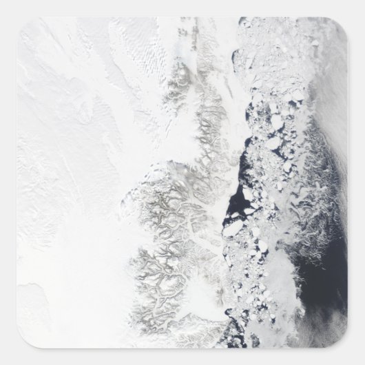 グリーンラン東海岸の衛星観測 スクエアシール (正面)