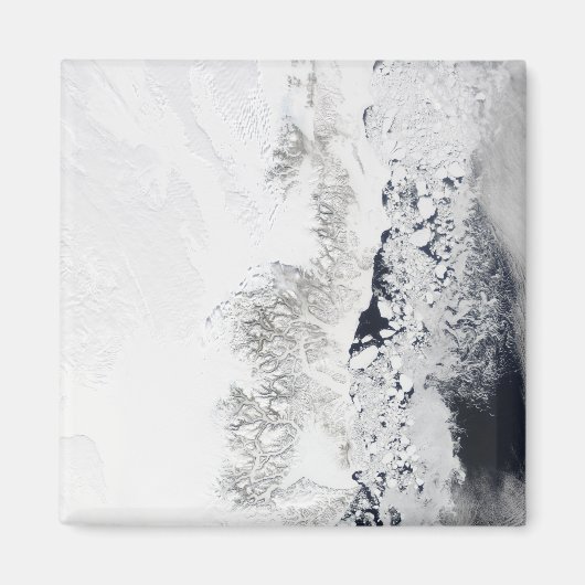 グリーンラン東海岸の衛星観測 マグネット (正面)