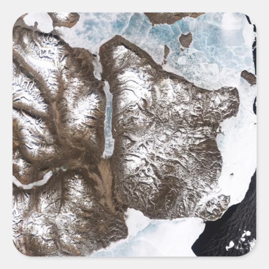 グリーンラン東部の海岸に海氷が並ぶ スクエアシール (正面)