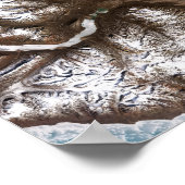 グリーンラン東部の海岸に海氷が並ぶ ポスター (角)