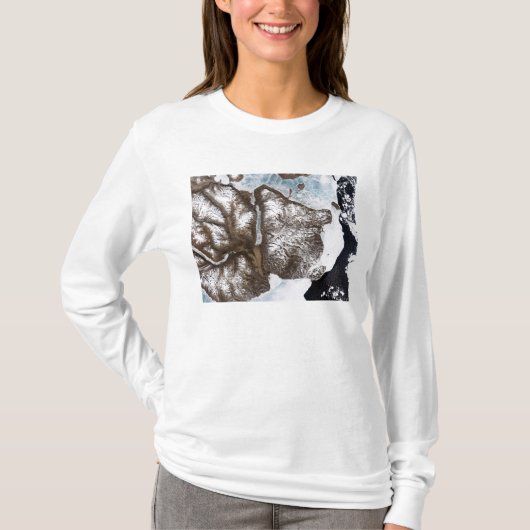 グリーンラン東部の海岸に海氷が並ぶ Tシャツ (正面)