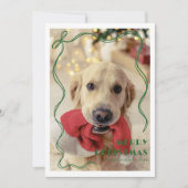 グリーンリお洒落ボンペットフォトメリークリスマス シーズンカード (正面)