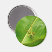 グリーンリザードオングリーンリーフ マグネット (正面/裏面)