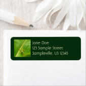 グリーンリザードオングリーンリーフ ラベル (インサイチュ)