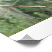 グリーンリザード ポスター (角)