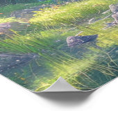 グリーンリバーバンク ポスター (角)