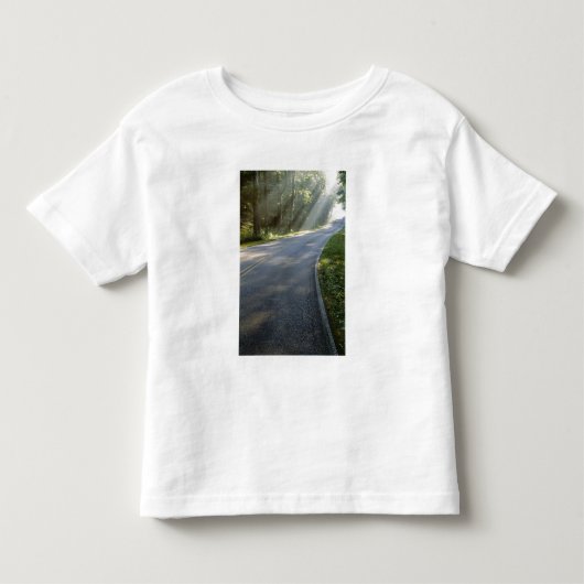 グリーンリバー沿いの霧の中の日の出 トドラーTシャツ (正面)