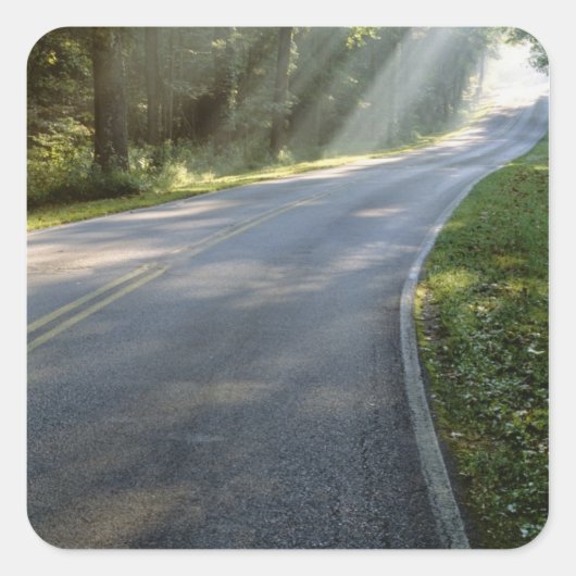 グリーンリバー沿いの霧の中を日の出 スクエアシール (正面)