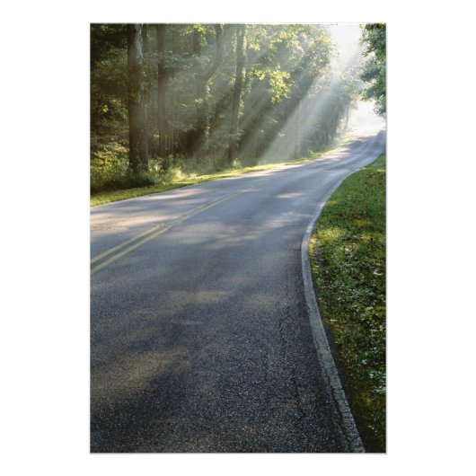 グリーンリバー沿いの霧の中を日の出 フォトプリント            (正面)