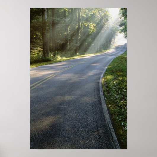 グリーンリバー沿いの霧の中を日の出 ポスター (正面)