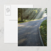 グリーンリバー沿いの霧の中を日の出 ポストカード (正面/裏面)