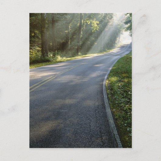 グリーンリバー沿いの霧の中を日の出 ポストカード (正面)