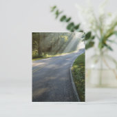 グリーンリバー沿いの霧の中を日の出 ポストカード (スタンド正面)