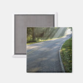 グリーンリバー沿いの霧の中を日の出 マグネット (正面/裏面)