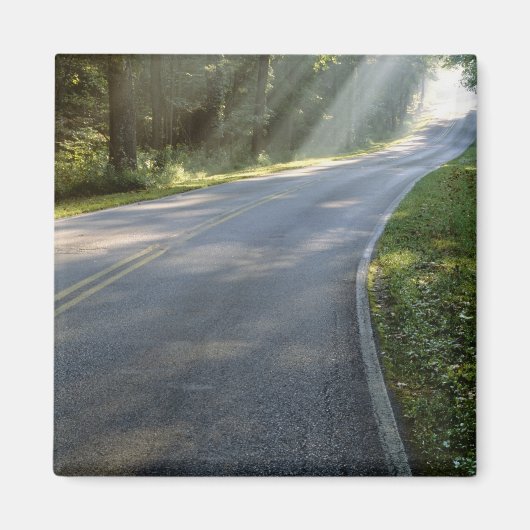 グリーンリバー沿いの霧の中を日の出 マグネット (正面)