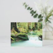 グリーンリバー秋 ポストカード (スタンド正面)