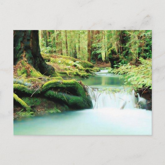 グリーンリバー秋 ポストカード (正面)