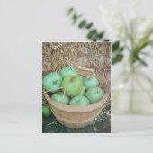 グリーンリンゴ ポストカード (スタンド正面)