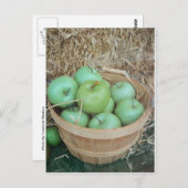 グリーンリンゴ ポストカード (正面/裏面)