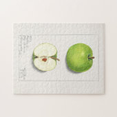 グリーンリンゴ(Malus Domestica)フルーツ絵画ズ ジグソーパズル (横)