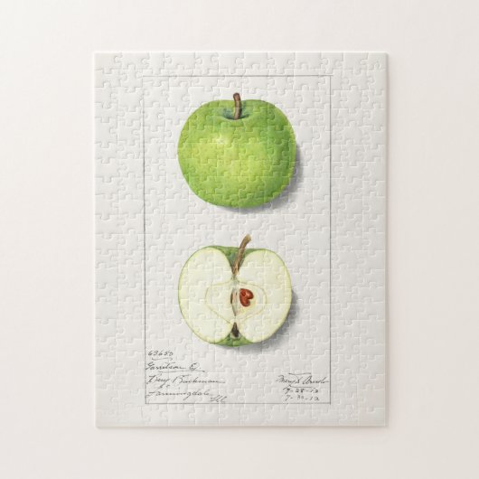 グリーンリンゴ(Malus Domestica)フルーツ絵画ズ ジグソーパズル (縦)