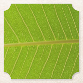 グリーンリーフとライトイエローラインデザイン ペーパーコースター