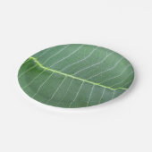 グリーンリーフとライトホワイトラインデザイン7"ラウンド ペーパープレート (アングル)