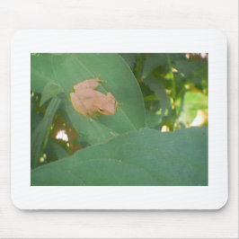 グリーンリーフに座るカエル マウスパッド