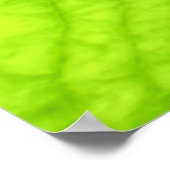 グリーンリーフのクローズアップ写真 ポスター (角)