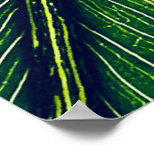 グリーンリーフのマクロ撮影 ポスター (角)