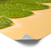 グリーンリーフのラディバグ ポスター (角)