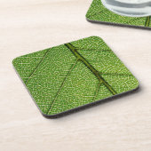 グリーンリーフイン詳細 コースター (左側)