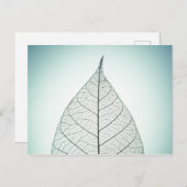 グリーンリーフスケルトン ポストカード (正面/裏面)